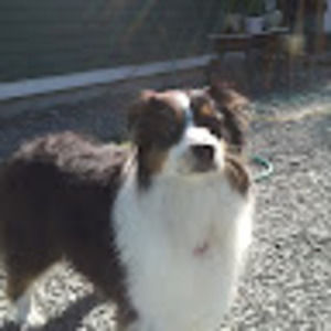 Meet your Posher, Evan